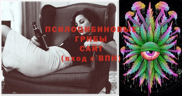 ПСИЛОЦИБИНОВЫЕ ГРИБЫ Абдулино