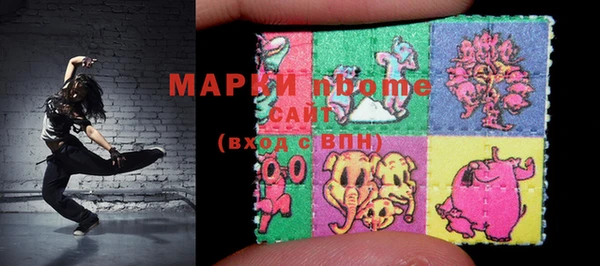 прущие грибы Абаза