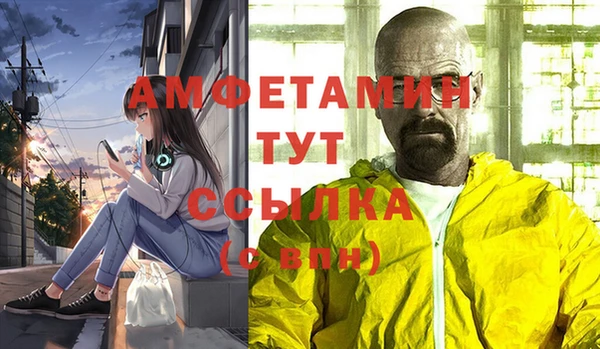 прущие грибы Абаза