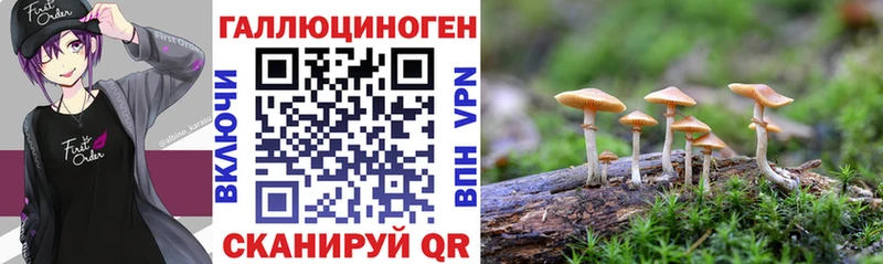 что такое наркотик  Вичуга  Галлюциногенные грибы MAGIC MUSHROOMS 
